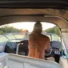 neilmichael695 - @neilmichael695 - TikTok