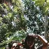 neilmiranda573 - @neilmiranda573 - TikTok