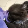Neil - @neil.moon16 - TikTok