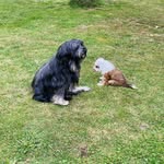 @neilmoonviggowilly - Instagram