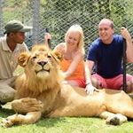 Neil Mortimer - @neil.mortimer.39 - Instagram