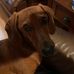 Neil Moser - Facebook