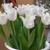 Lászlóné Nagy - @nagyneildi - TikTok