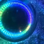 Neil Nathanson - @neilnathanson - Instagram