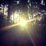 Neil & Ness - @outsidestheupside - Instagram