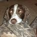 Neil Ness - Facebook