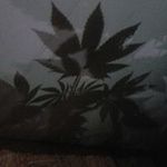 Neil North - @north.neil - Instagram