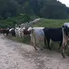 neil otto - @neil.ruffner.bottger.oxa - TikTok