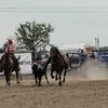 Neil Paskewitz - @neilpas - TikTok