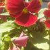 Neil Paulsen - Facebook