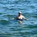 Neil Pendry - Facebook