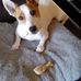 Neil Petersen - Facebook