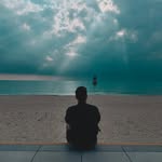Neil Pham - @neilbear45 - Instagram