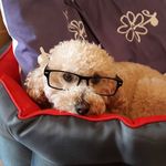 Neil Phillips - @neil.phillips.39948 - Instagram