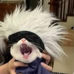 Neil Phung - @birdbird_05 - Instagram