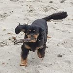Neil Pitcher - @neil.pitcher.14 - Instagram