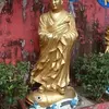neilpittam - @neilpittam - TikTok