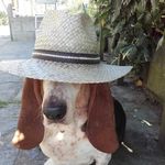 Neil Karen Proctor - @proctor8406 - Instagram