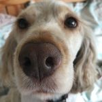 Neil Proctor - @neil.proctor - Instagram