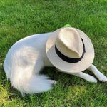 Neil Proctor - @streetobserver_neil - Instagram