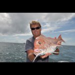 Neil Raines - @neilraines - Instagram