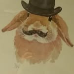Neil Randall - @bbn_1hc - Instagram