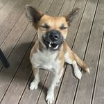 Neil Randall - @randall_sgt - Instagram