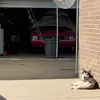 Neil - @neil.trapp0 - TikTok