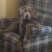 Neil Rapp - Facebook