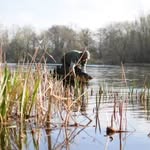Neil Read - @read_neil - Instagram