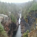Neil Read - @neilread2 - Instagram