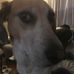 Neil Ritter - Facebook