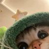 Neil_rivers - @kram_rivers - TikTok