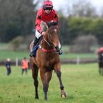 Neil Roche - @neil.roche.35 - Instagram