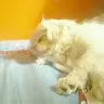 neil rojas aguirre - @neilrojasaguirre - TikTok
