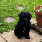 Neil Roscoe - Facebook