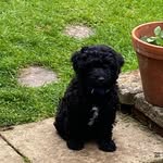 Neil Roscoe - @neil.roscoe.54 - Instagram