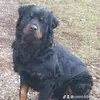 neil rudd - @user64041857 - TikTok