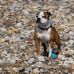 Neil Rutherford - Facebook