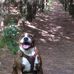 Neil Rutherford - Facebook
