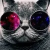 Neil Salem251 - @neilsalem97 - TikTok
