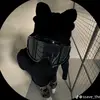 Neil - @neilsanchez10 - TikTok