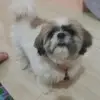 Neil Santos - @neil.santos896 - TikTok
