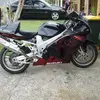 Neil Schofield - @neil.schofield2 - TikTok