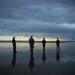 Neil Scott - @neilscott_ - Instagram