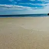 Neil Scott - @coastcollector - TikTok