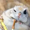 Scott Oneil - @scott.oneil4 - TikTok
