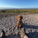 Neil Sewell - @neilgsewell - Instagram