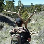 Neil Shaver - @neilshaver - Instagram