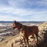 Neil Singleton - @neil_singleton - Instagram